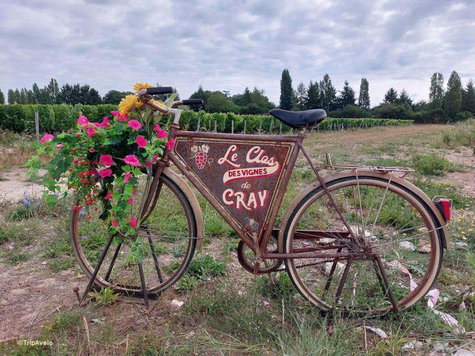 The Clos des Vignes de Cray - Montlouis sur Loire