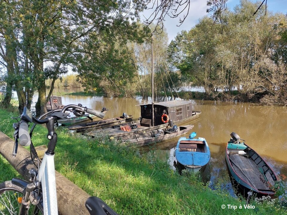 The Loire by Bike between Saumur and Angers: Le Thoureil