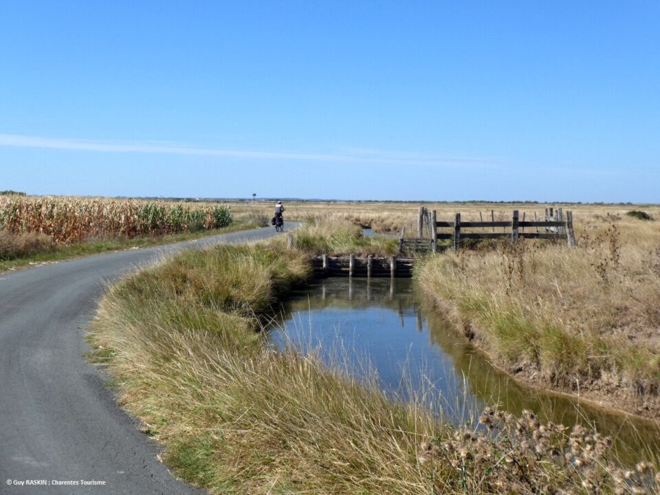 Charente-Maritime18 Bike ride in the Brouage marshes