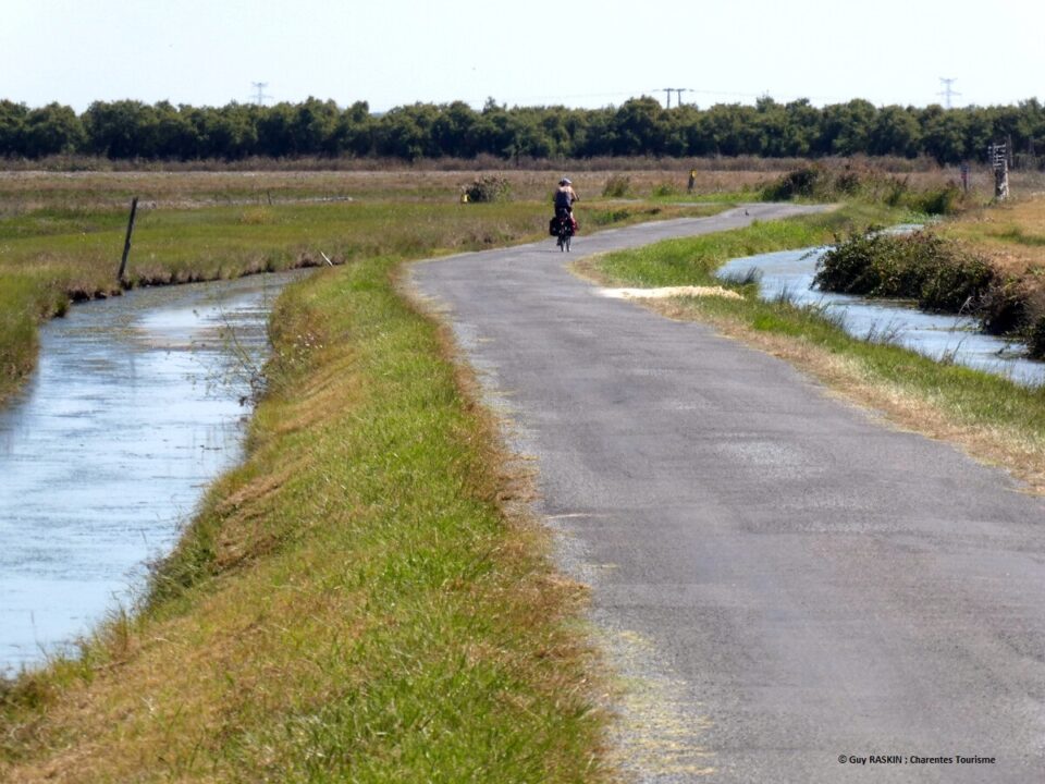 Bike ride in the Brouage marshesPhoto credit Guy RASKIN; Charentes Tourisme