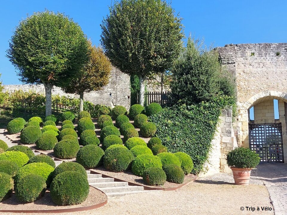 Jardins du château d'Amboise